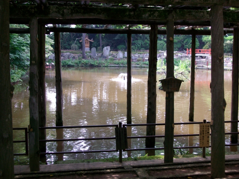 f:id:piko__k:20100704145613j:image