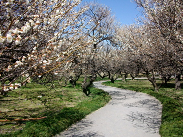 f:id:piko__k:20110320103723j:image