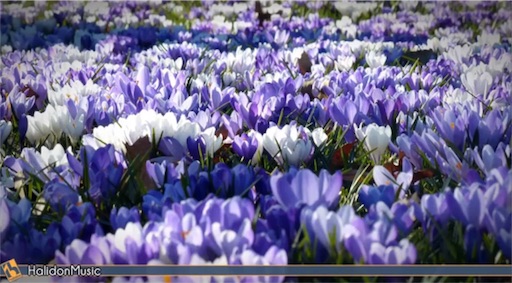 f:id:pikoameds:20170423051722j:image f:id:pikoameds:20170423051722j:image