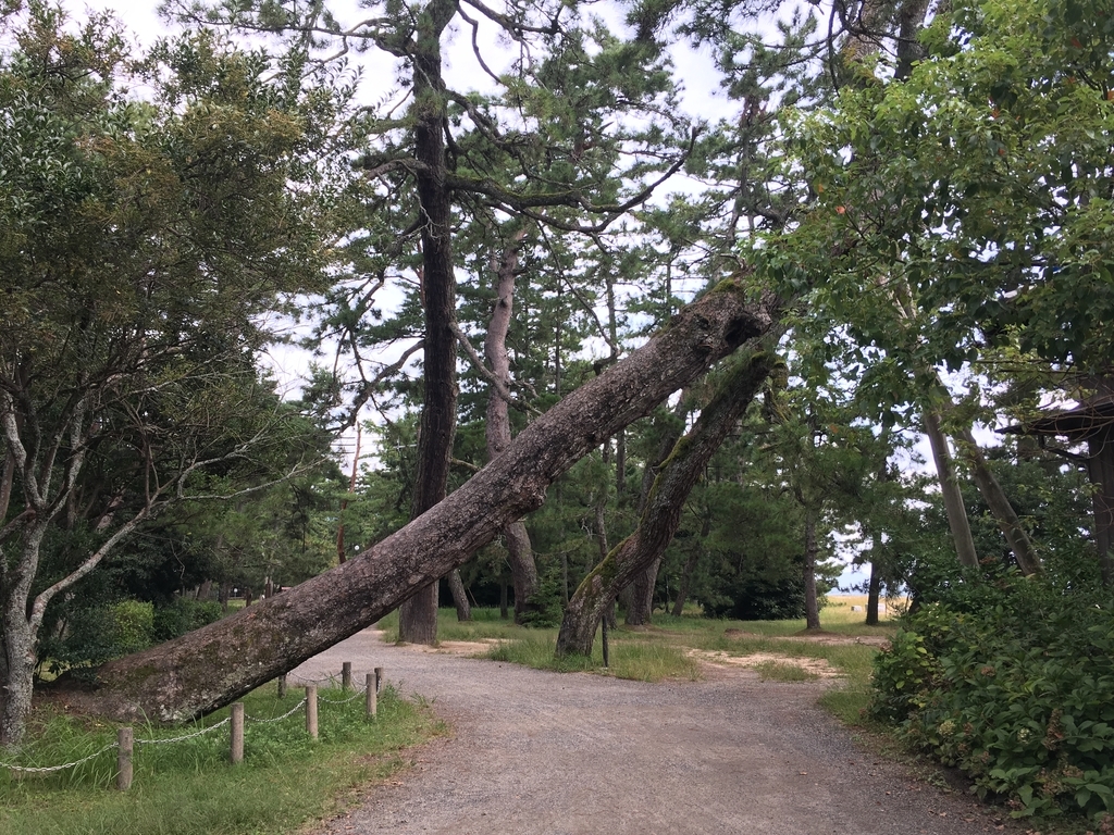 f:id:pikoan:20180930000520j:plain f:id:pikoan:20180930000520j:plain