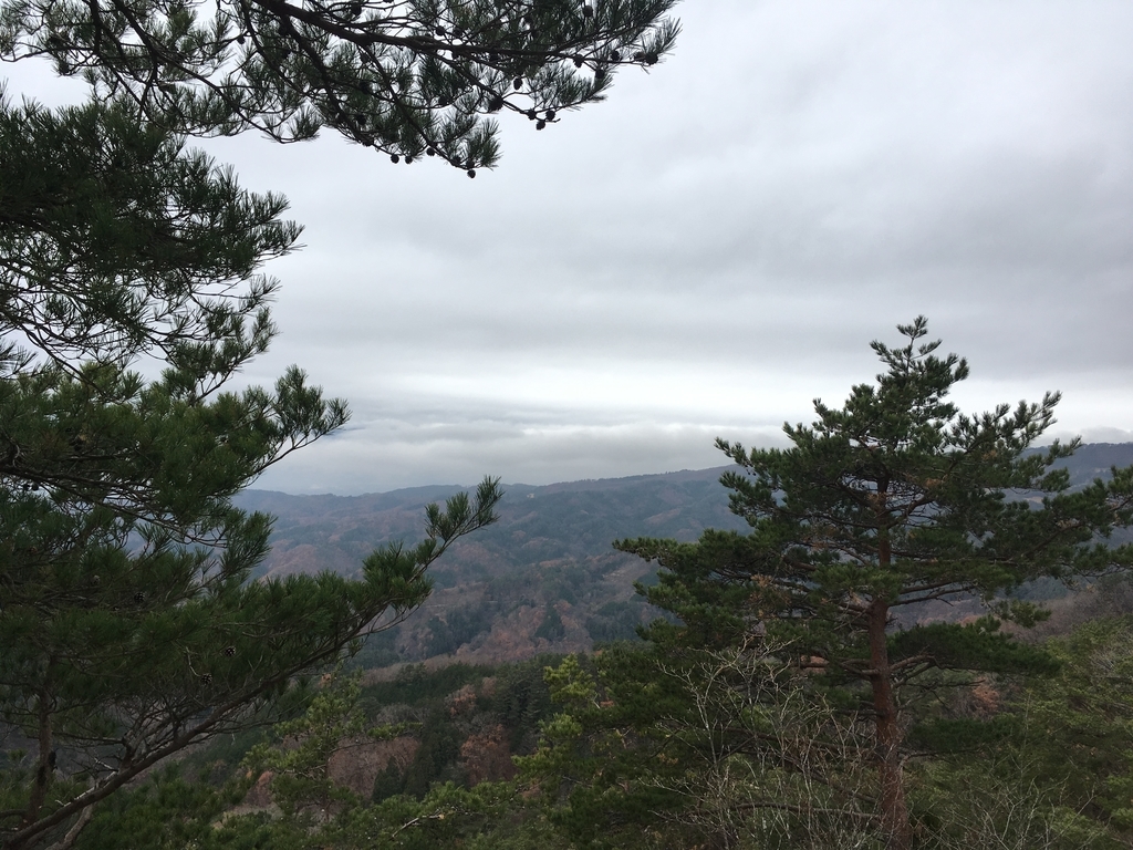 f:id:pikoan:20181217011216j:plain