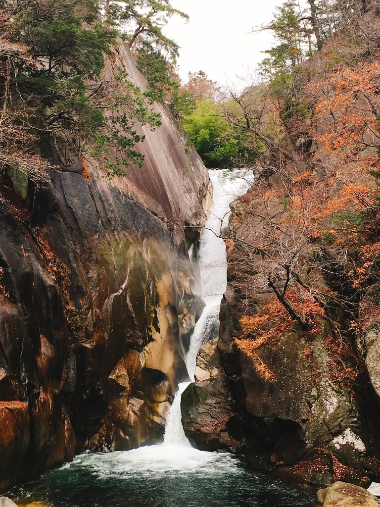 f:id:pikoan:20181217012411j:plain