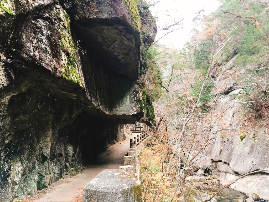 f:id:pikoan:20181217012537j:plain