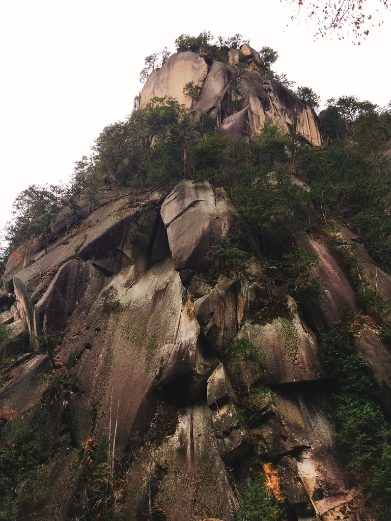 f:id:pikoan:20181217012552j:plain