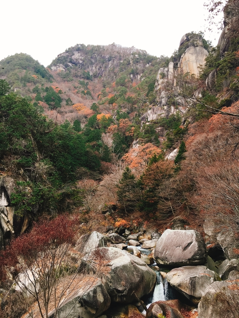 f:id:pikoan:20181217012754j:plain