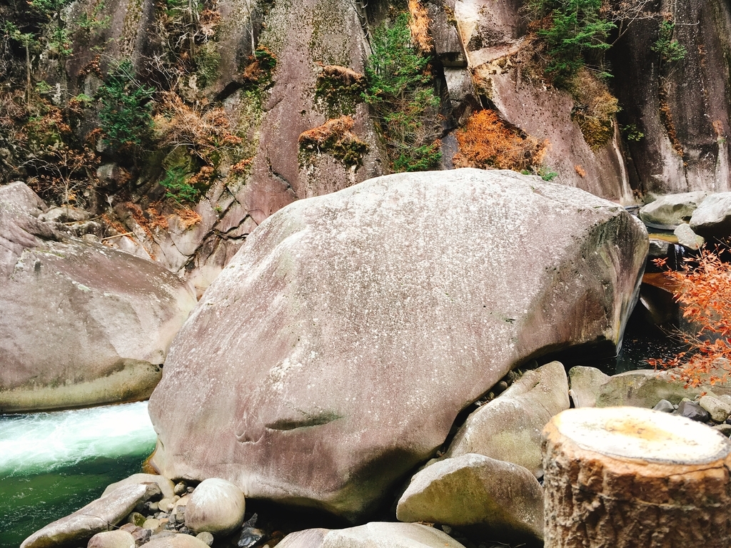 f:id:pikoan:20181217013049j:plain