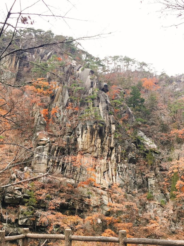 f:id:pikoan:20181217013220j:plain