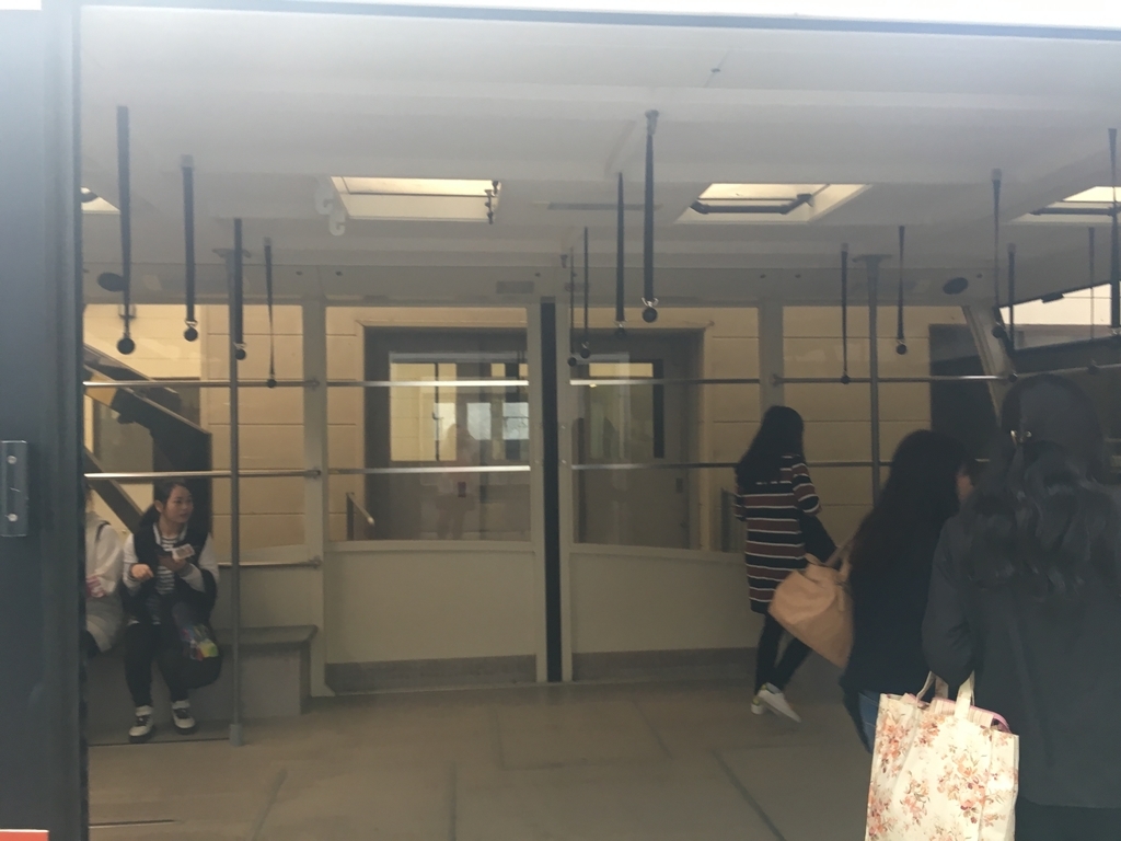 f:id:pikoan:20190120154550j:plain