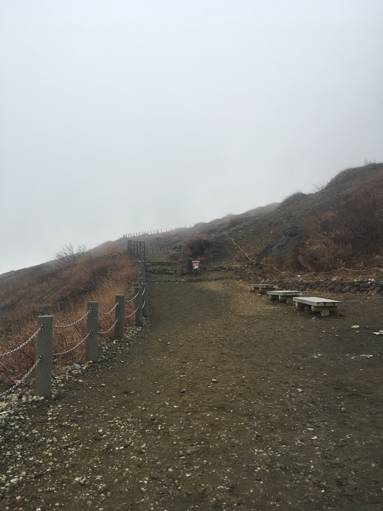 f:id:pikoan:20190120154845j:plain