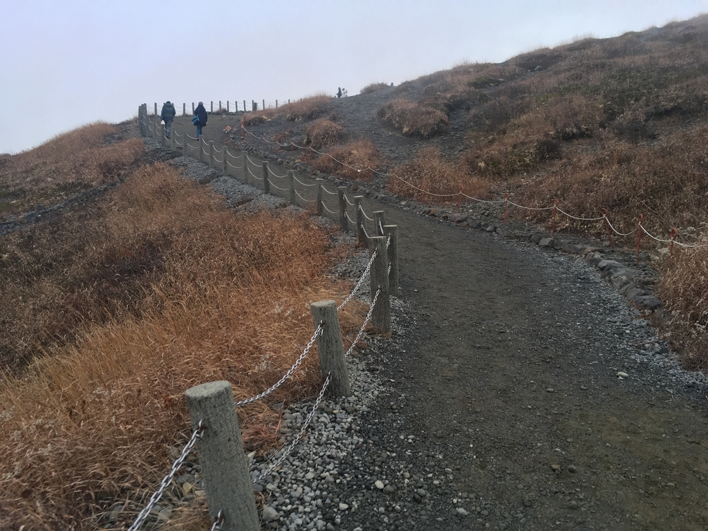 f:id:pikoan:20190120154913j:plain