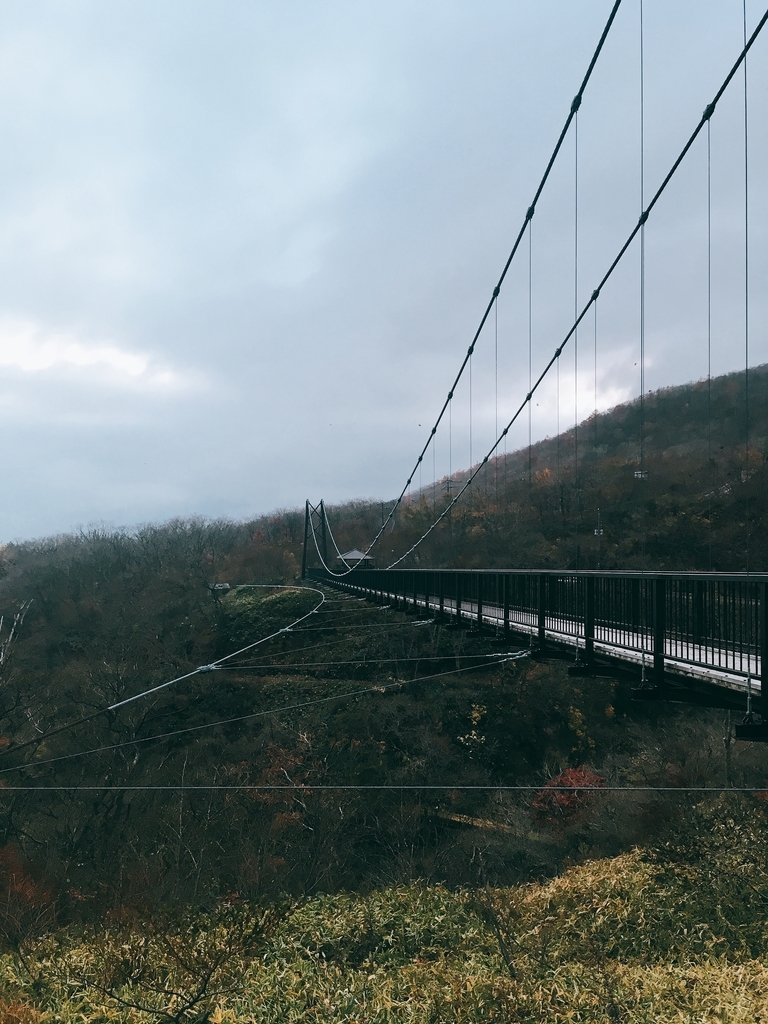 f:id:pikoan:20190120155450j:plain