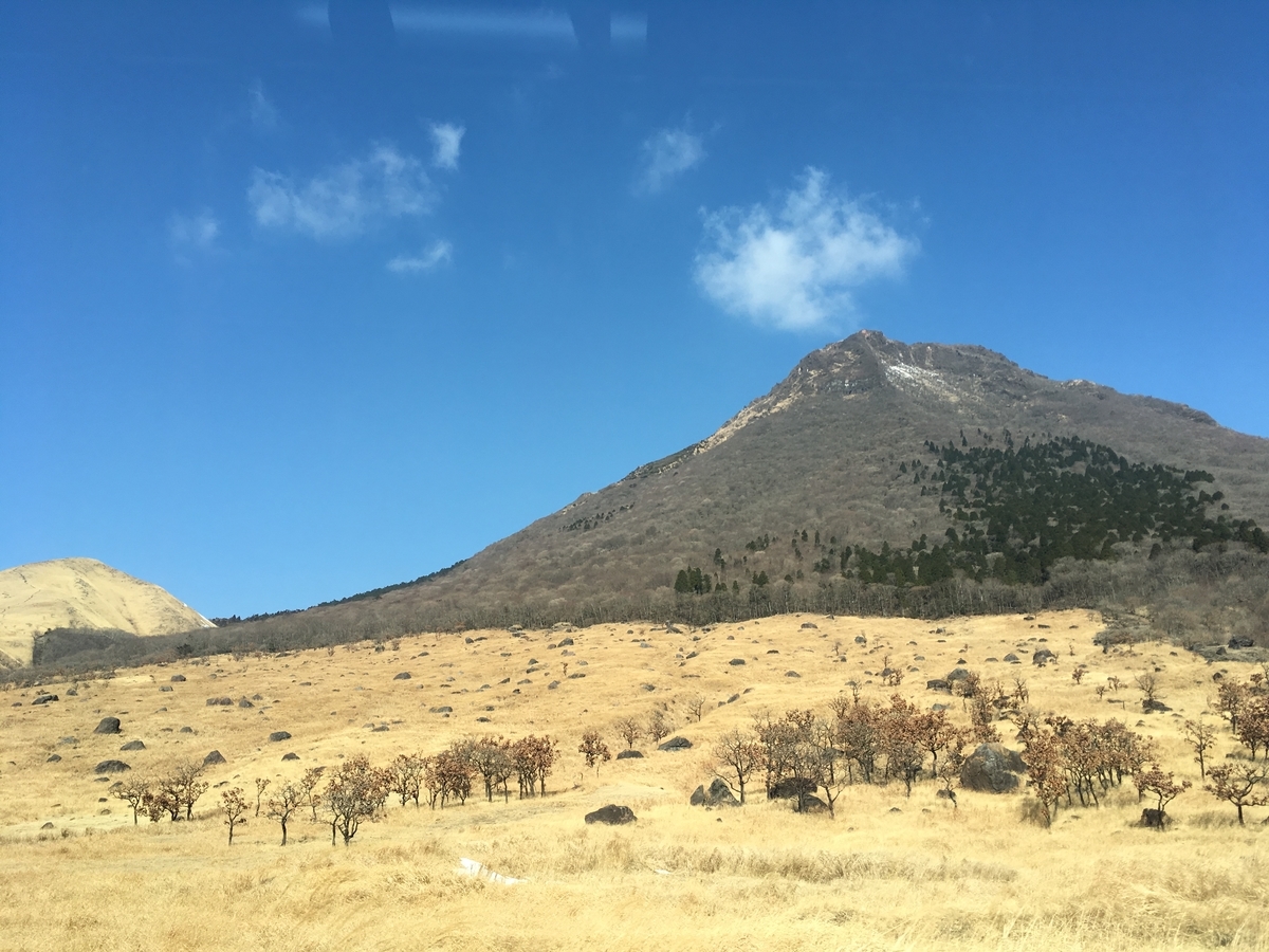 f:id:pikoan:20200601013641j:plain