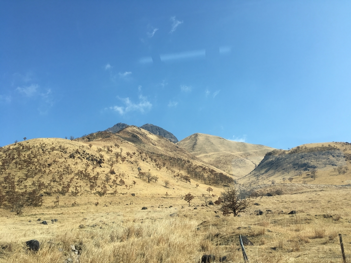 f:id:pikoan:20200601013702j:plain