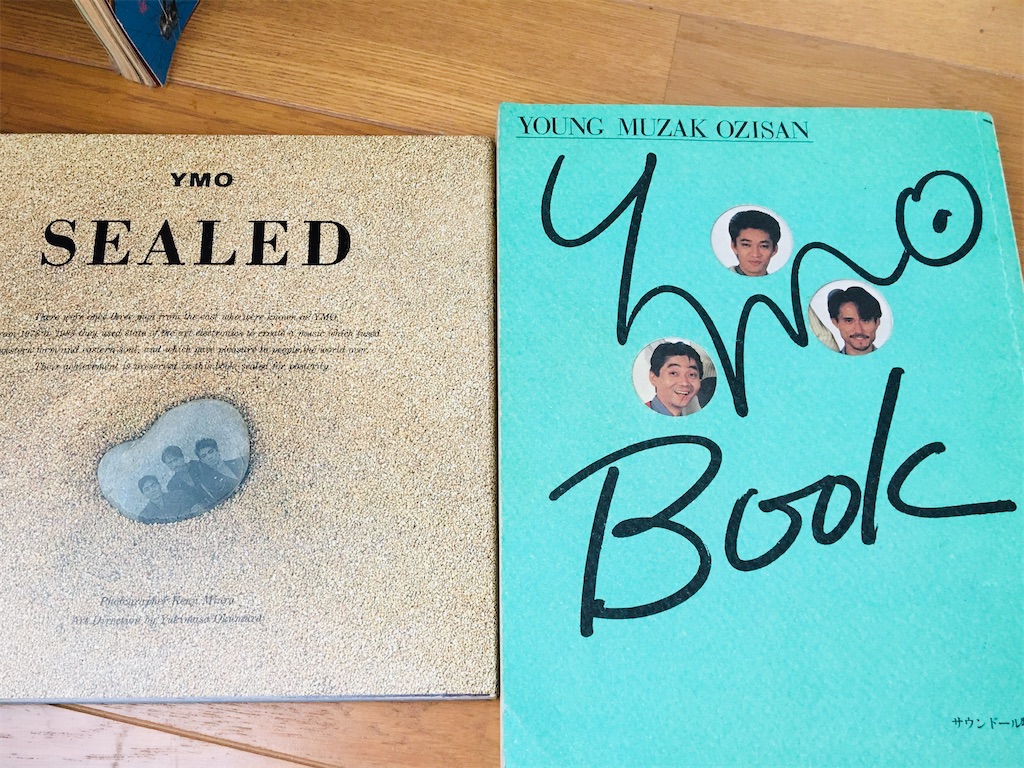 f:id:pikoan:20200601173436j:image