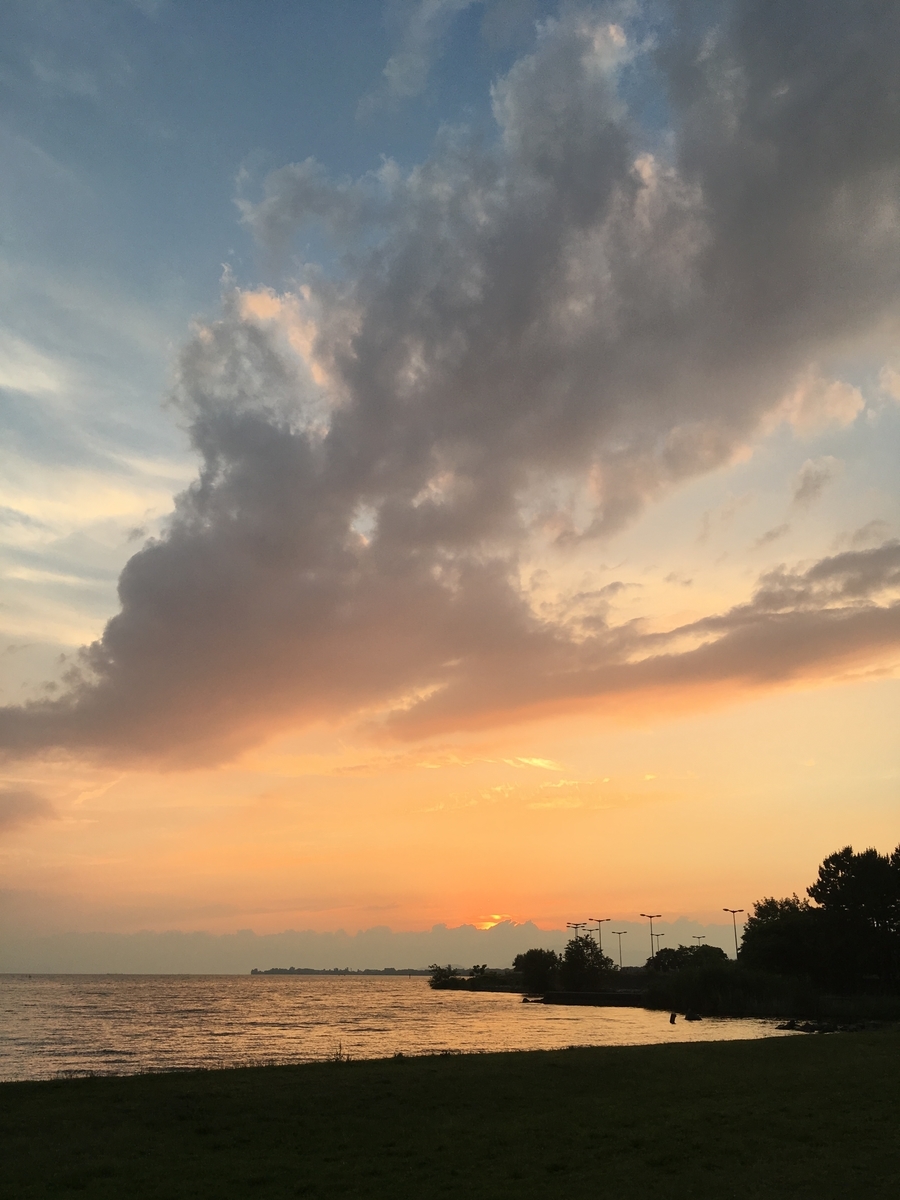 f:id:pikoan:20210308233406j:plain