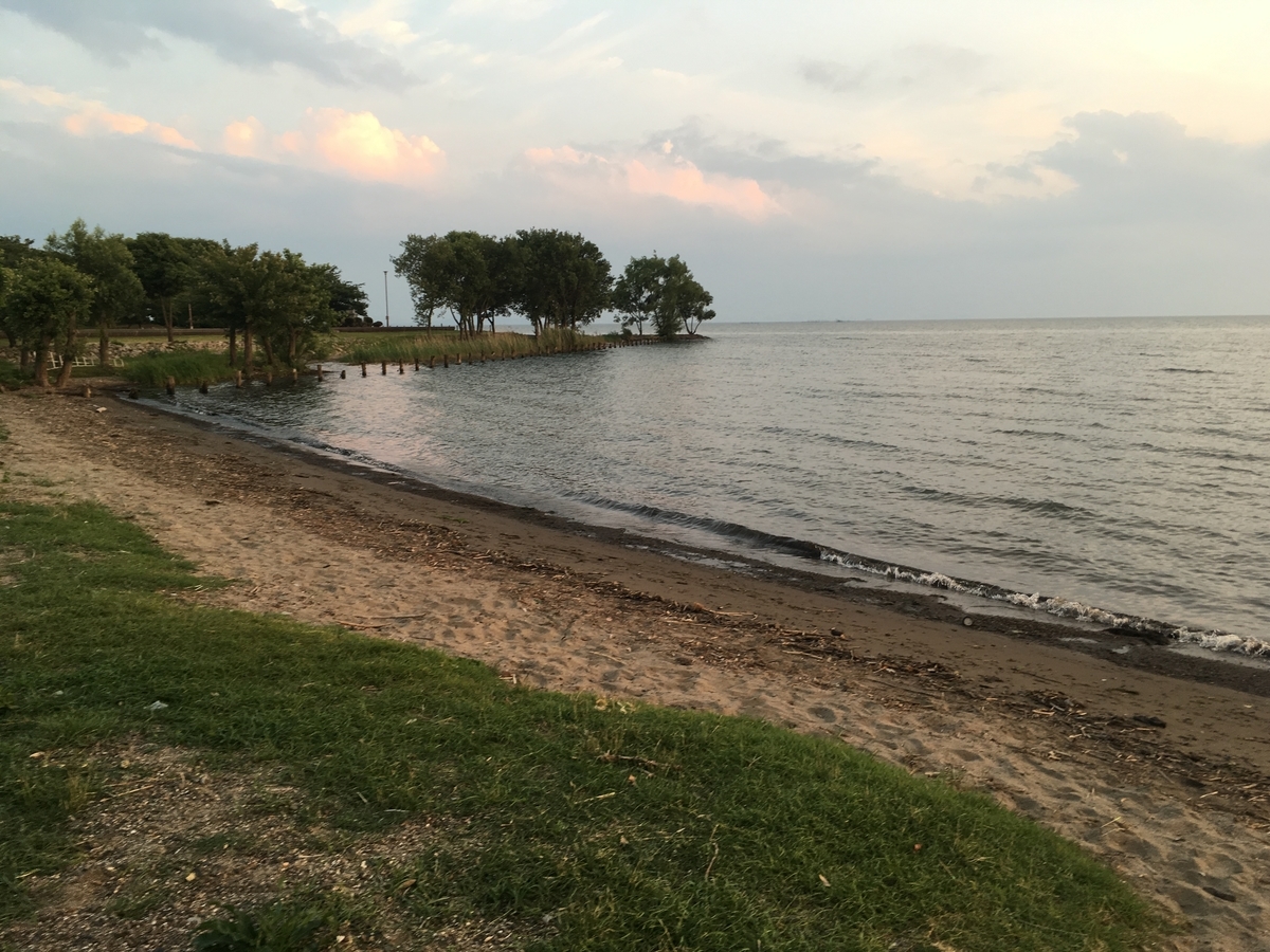 f:id:pikoan:20210308233450j:plain