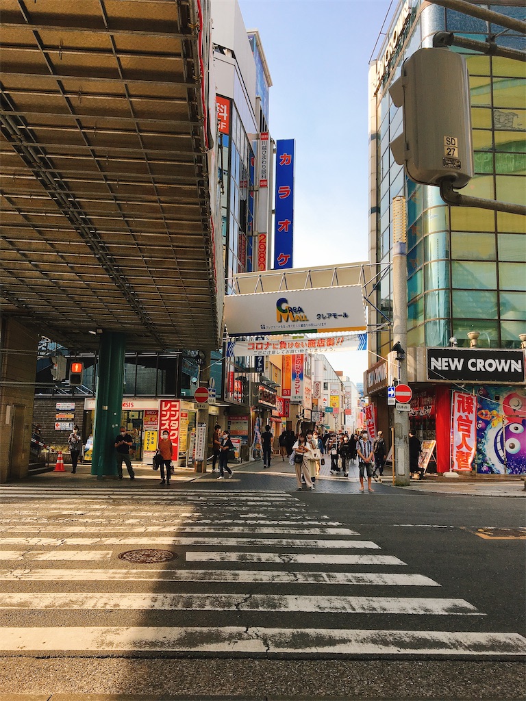 f:id:pikoan:20210517211620j:image