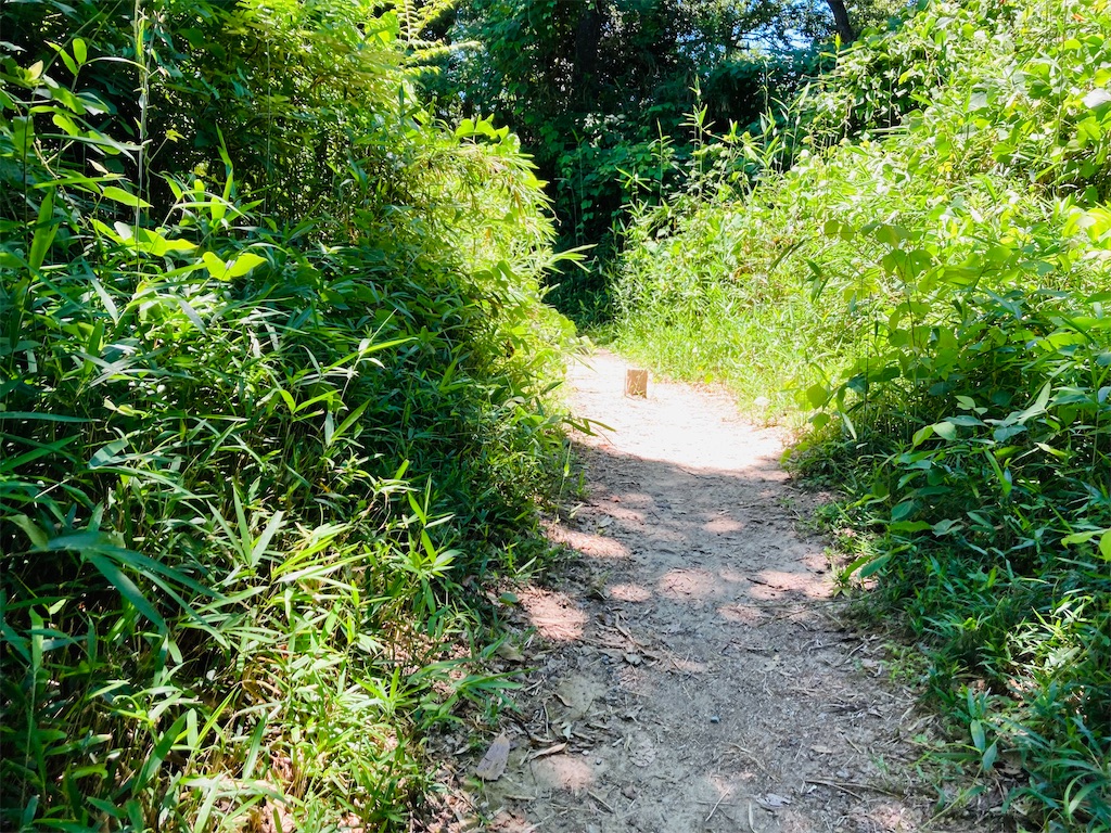 f:id:pikoan:20220712221600j:image f:id:pikoan:20220712221600j:image