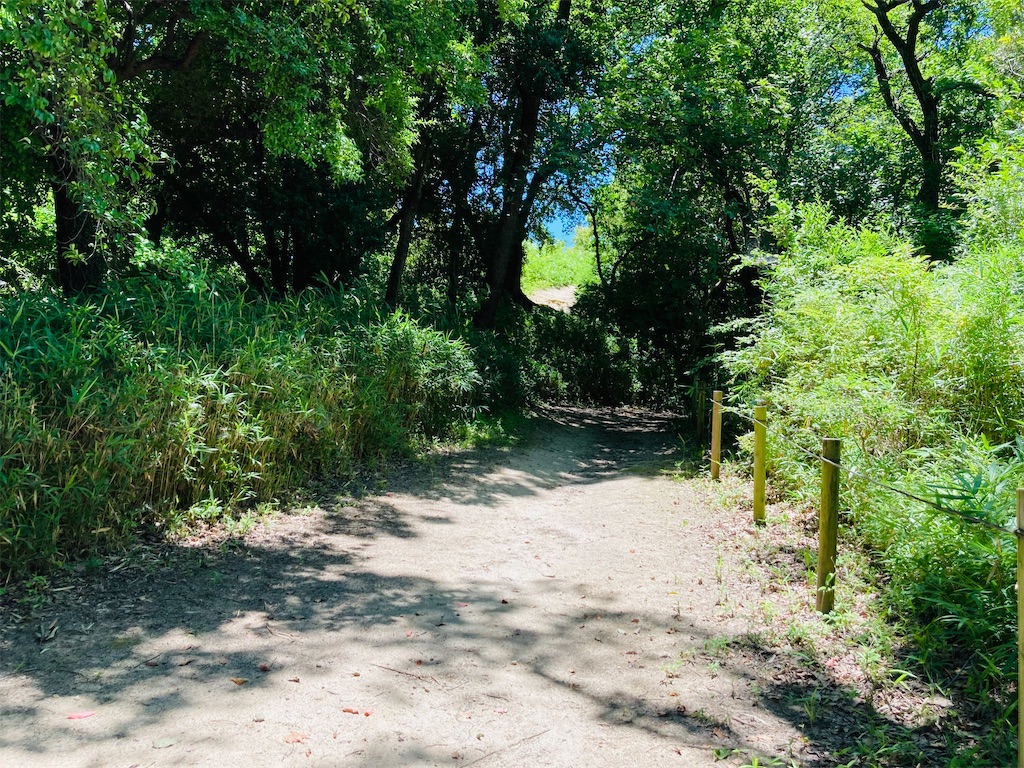 f:id:pikoan:20220712221648j:image f:id:pikoan:20220712221648j:image