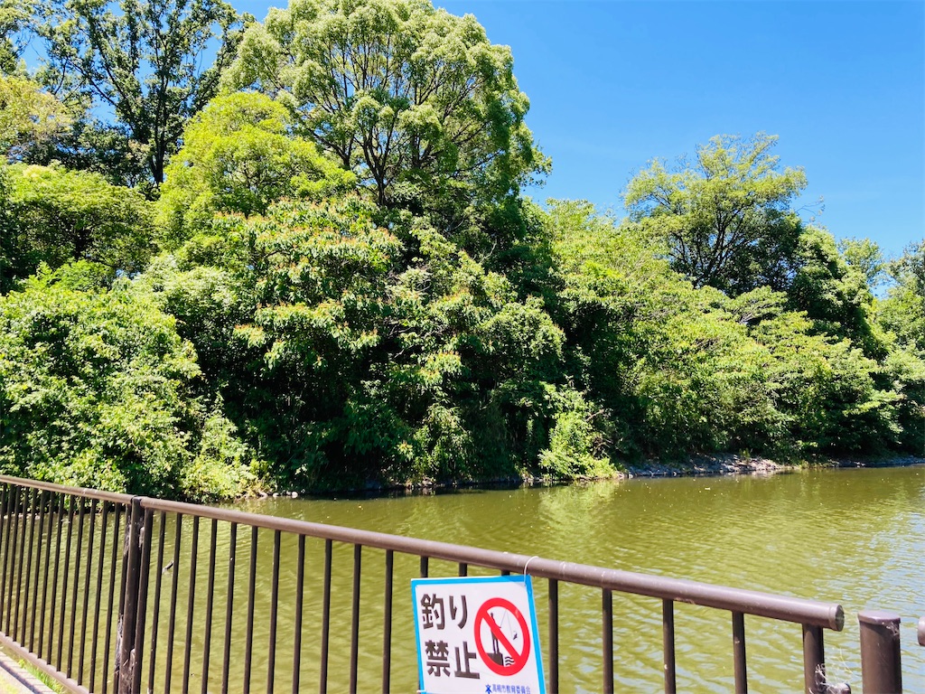 f:id:pikoan:20220712221921j:image f:id:pikoan:20220712221921j:image