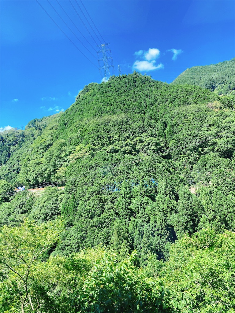 f:id:pikoan:20220728164541j:image