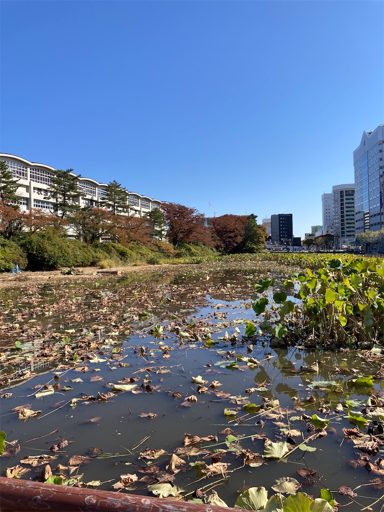 f:id:pikoan:20221206201724j:image f:id:pikoan:20221206201724j:image