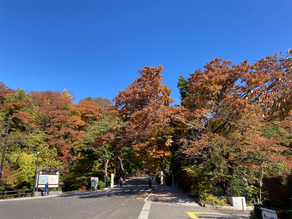 f:id:pikoan:20221206201730j:image f:id:pikoan:20221206201730j:image