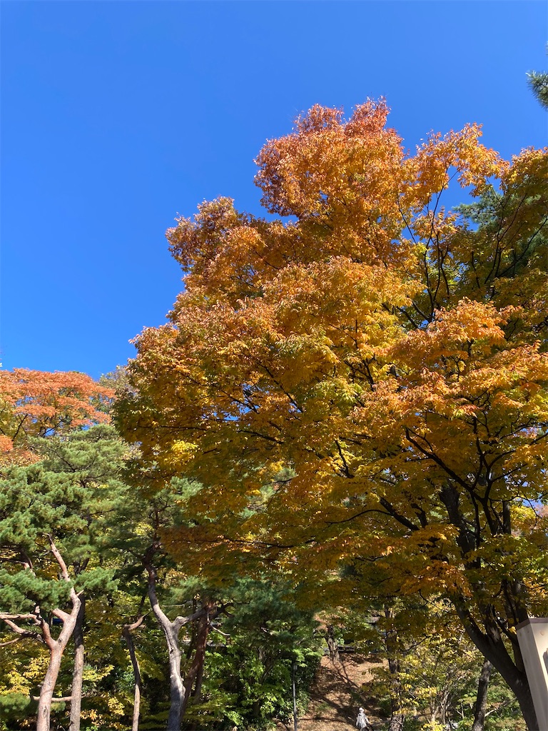 f:id:pikoan:20221206201735j:image f:id:pikoan:20221206201735j:image