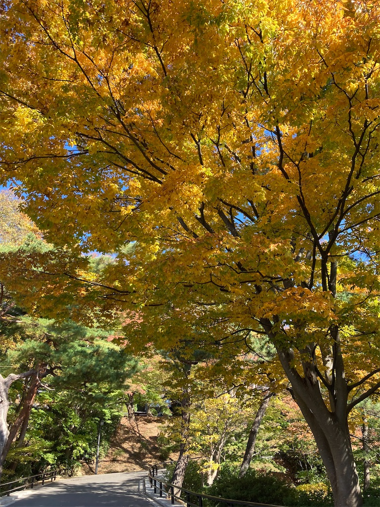 f:id:pikoan:20221206201740j:image f:id:pikoan:20221206201740j:image