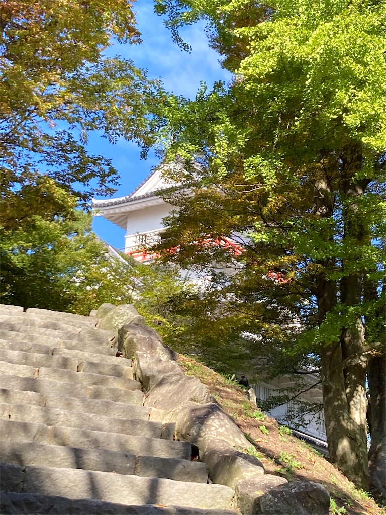 f:id:pikoan:20221206201806j:image f:id:pikoan:20221206201806j:image