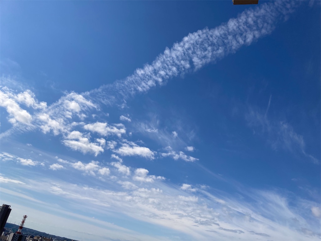 f:id:pikoan:20221206201818j:image f:id:pikoan:20221206201818j:image