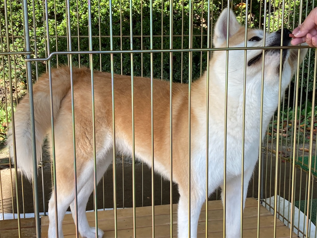 f:id:pikoan:20221206201934j:image f:id:pikoan:20221206201934j:image