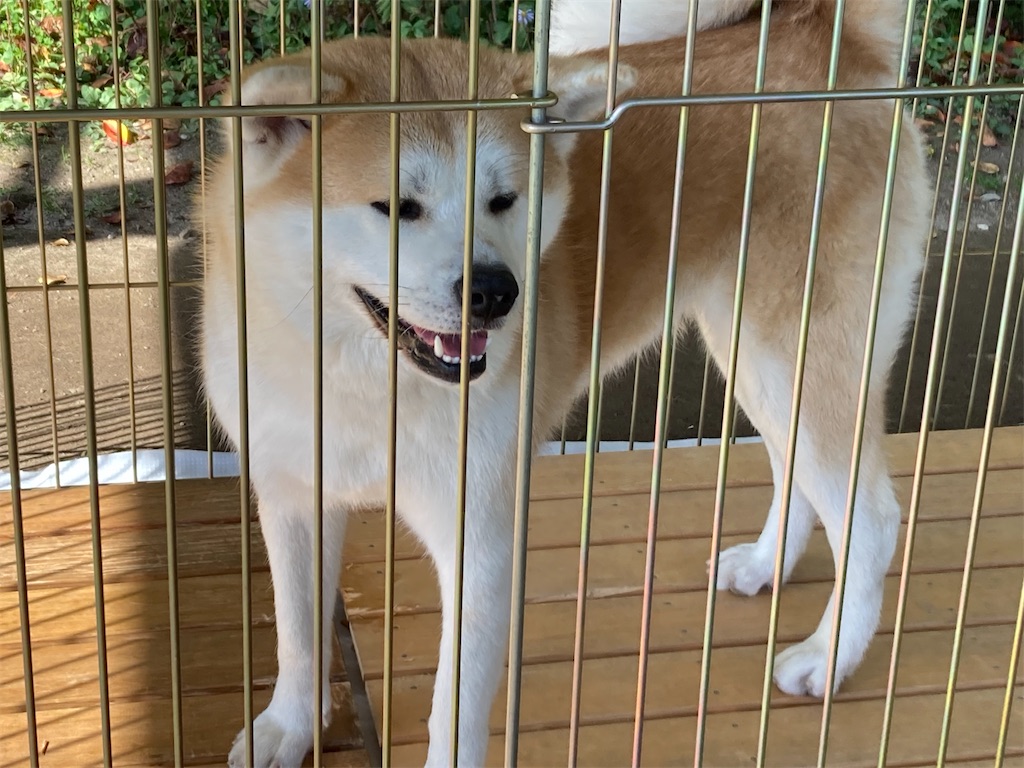 f:id:pikoan:20221206201940j:image f:id:pikoan:20221206201940j:image