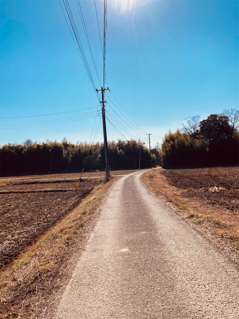 f:id:pikoan:20230131154507j:image