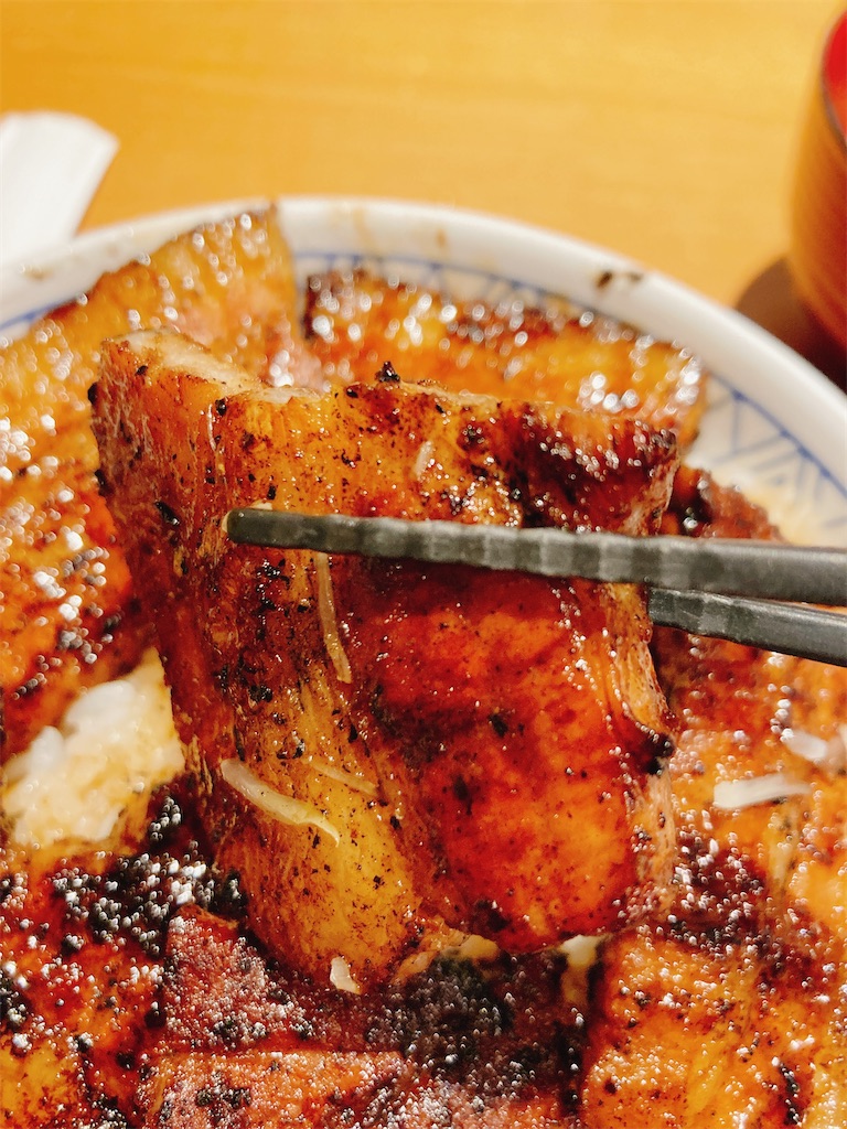 f:id:pikoan:20230131155550j:image