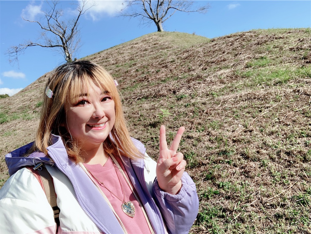 f:id:pikoan:20231118171359j:image