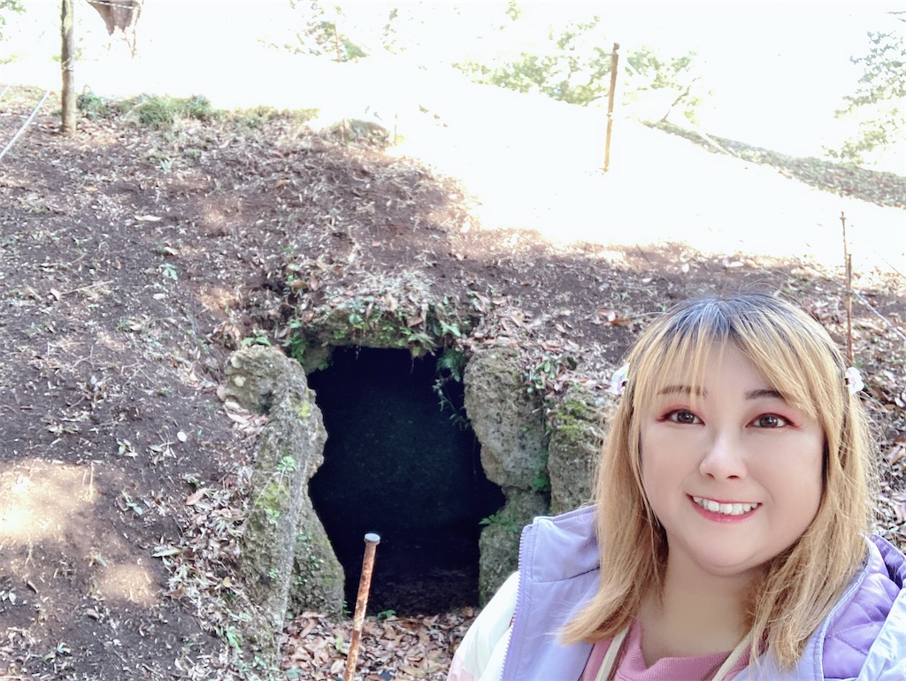 f:id:pikoan:20231118171406j:image