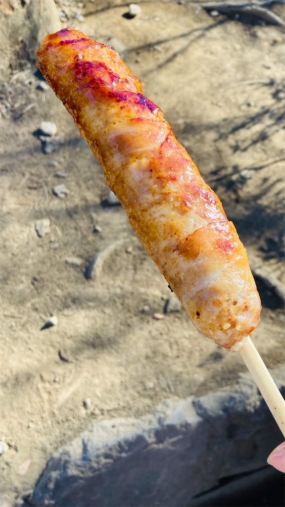 f:id:pikoan:20240104234619j:image