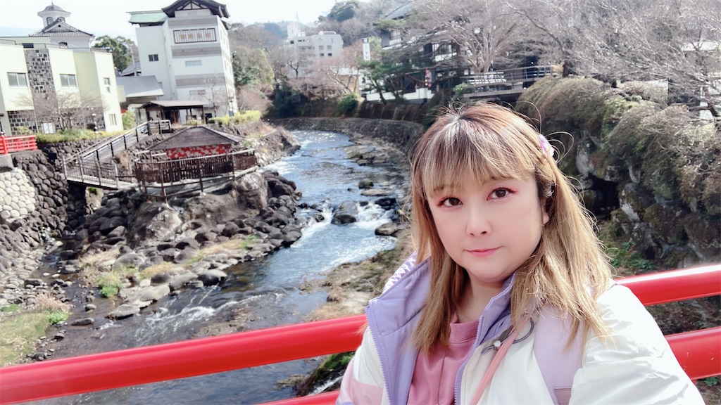 f:id:pikoan:20240202220707j:image