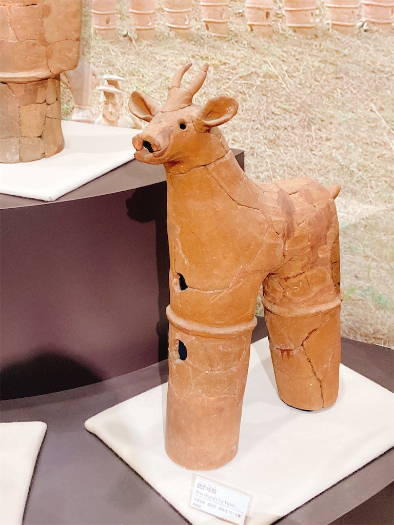 f:id:pikoan:20240513232344j:image