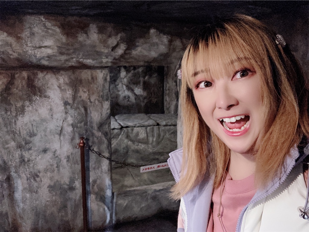 f:id:pikoan:20240513232355j:image