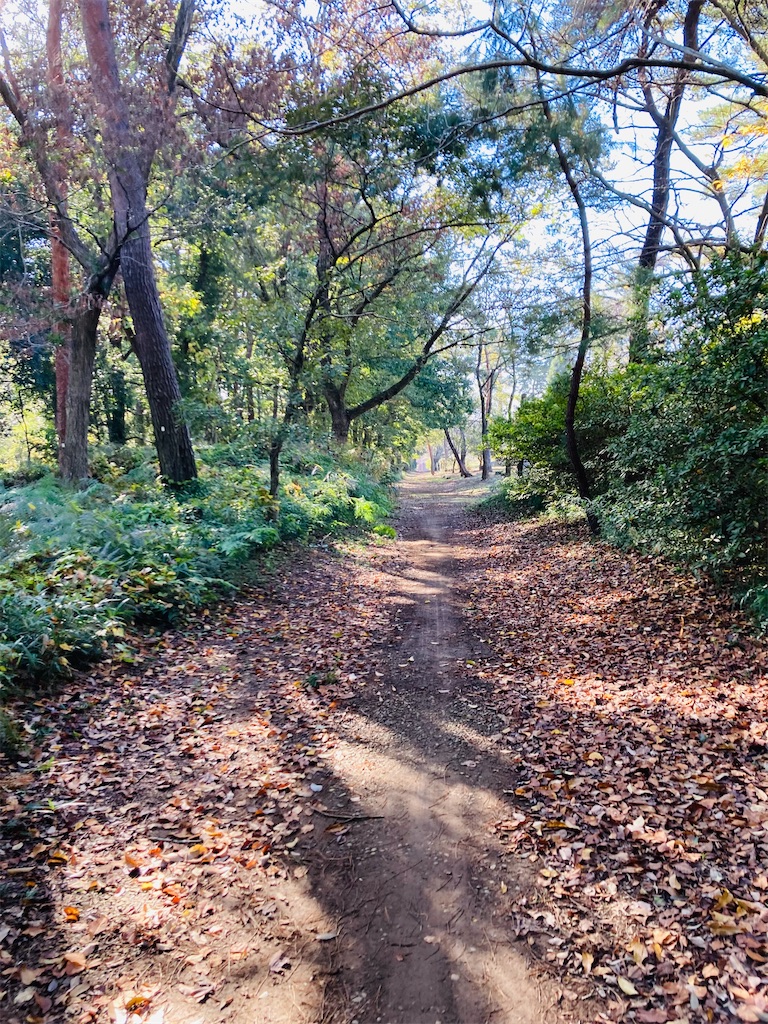 f:id:pikoan:20240513232415j:image