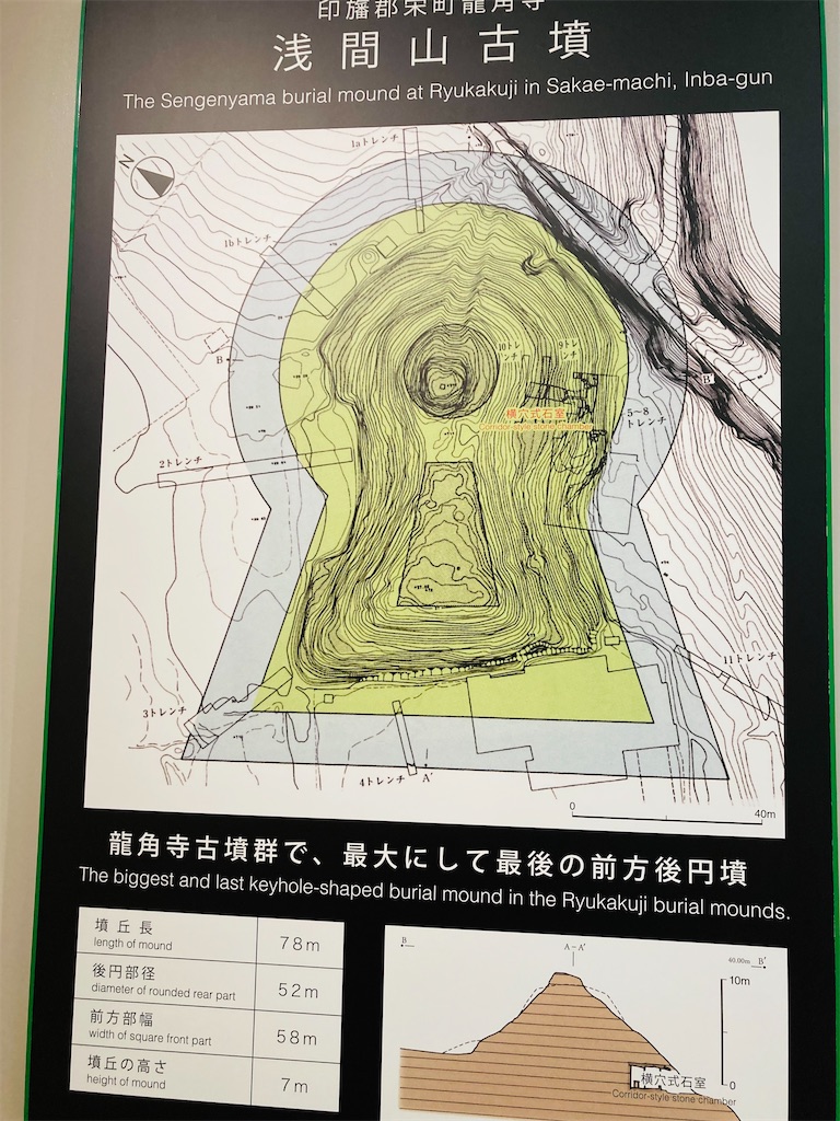 f:id:pikoan:20240513232434j:image