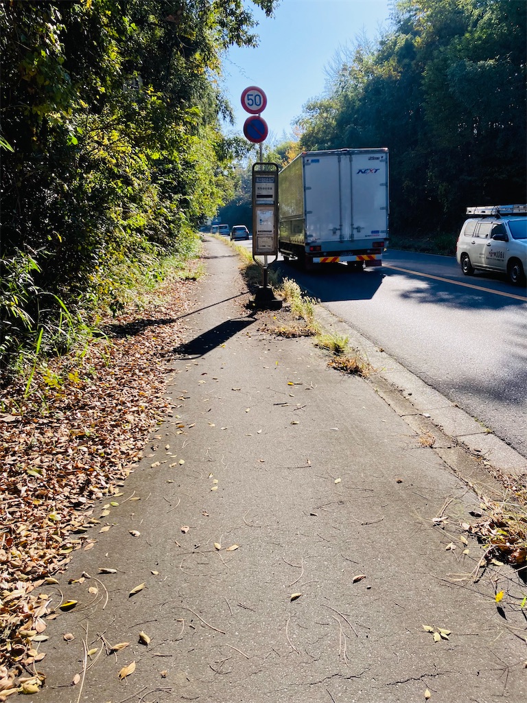 f:id:pikoan:20240513232437j:image