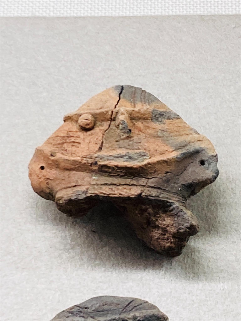 f:id:pikoan:20240513232545j:image