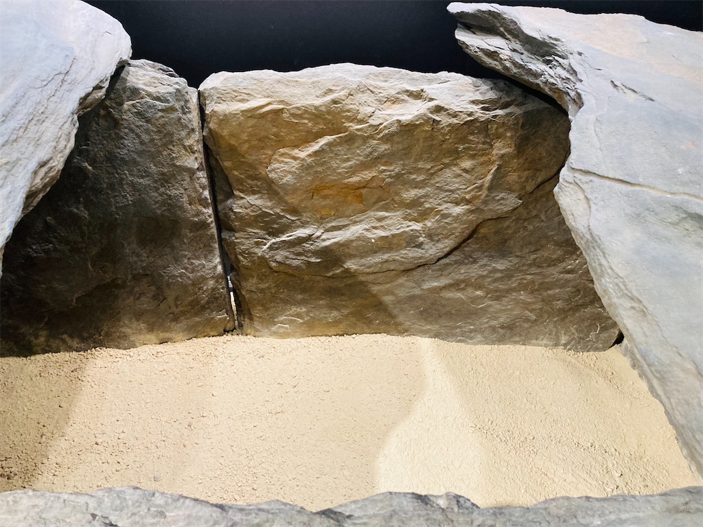 f:id:pikoan:20240513232552j:image