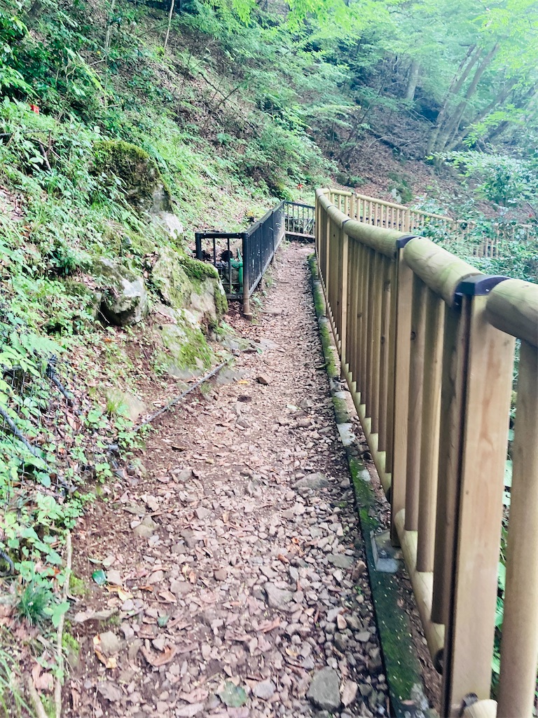 f:id:pikoan:20240712152230j:image f:id:pikoan:20240712152230j:image