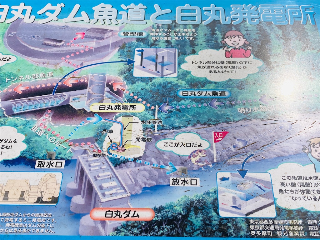 f:id:pikoan:20240712152235j:image f:id:pikoan:20240712152235j:image