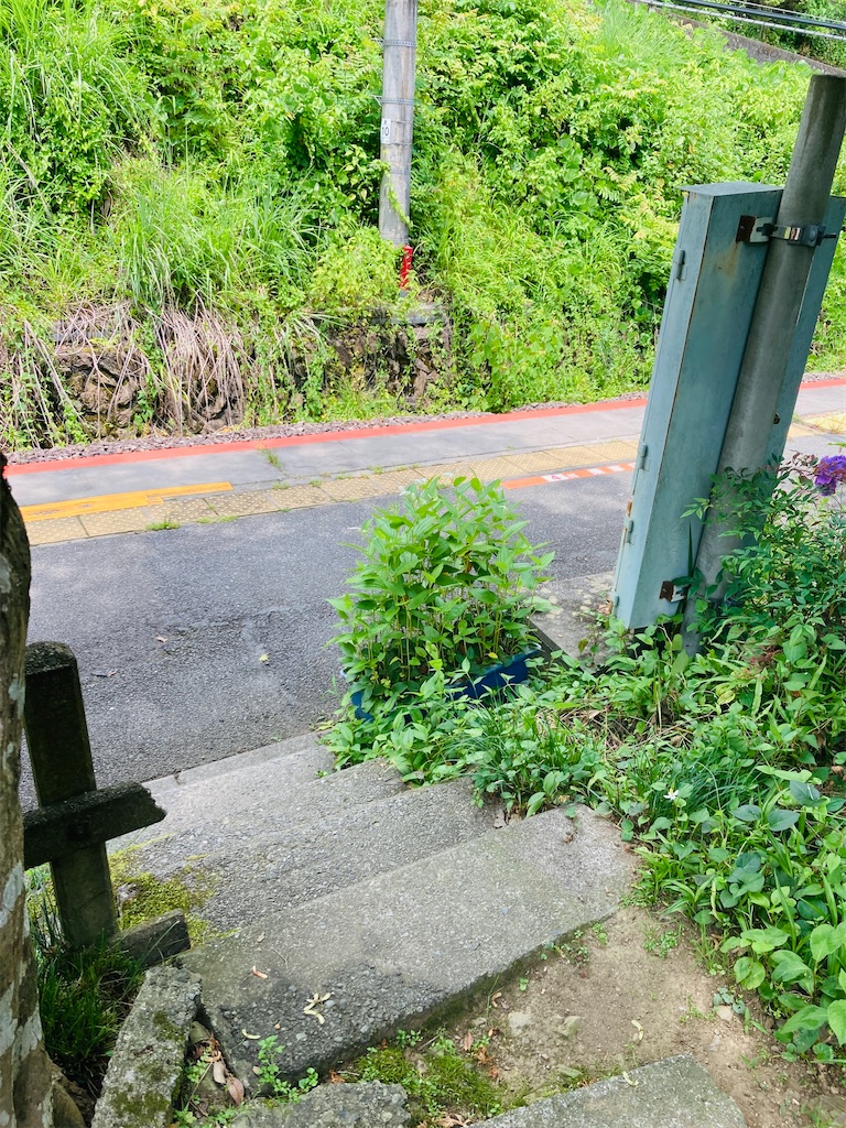 f:id:pikoan:20240712152249j:image f:id:pikoan:20240712152249j:image