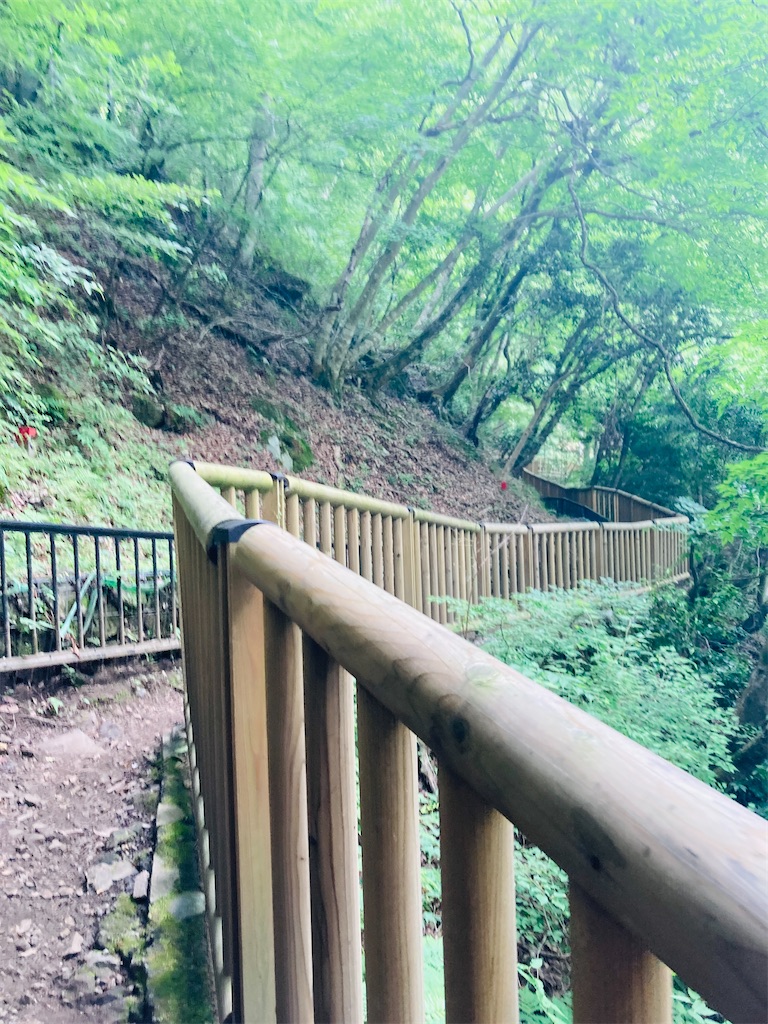 f:id:pikoan:20240712152323j:image f:id:pikoan:20240712152323j:image